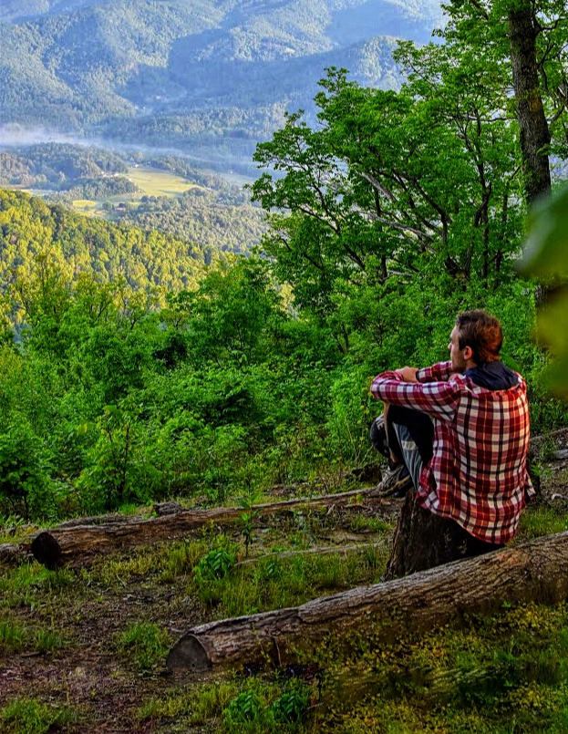nature shot of wooded mountain with a man sitting on a log to the right of the picture